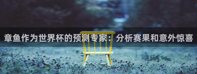 今年世界杯：章鱼作为世界杯的预测专家：分析赛果和意外惊喜