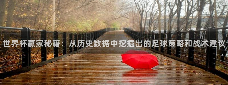 葡萄牙世界杯赛程：世界杯赢家秘籍：从历史数据中挖掘出的足球策略和战术建议