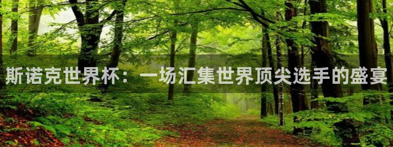 世界杯亚洲区预选赛赛程表：斯诺克世界杯：一场汇集世界顶尖选手的盛宴
