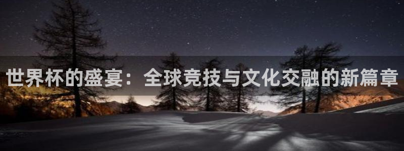 世界杯预选赛：世界杯的盛宴：全球竞技与文化交融的新篇章