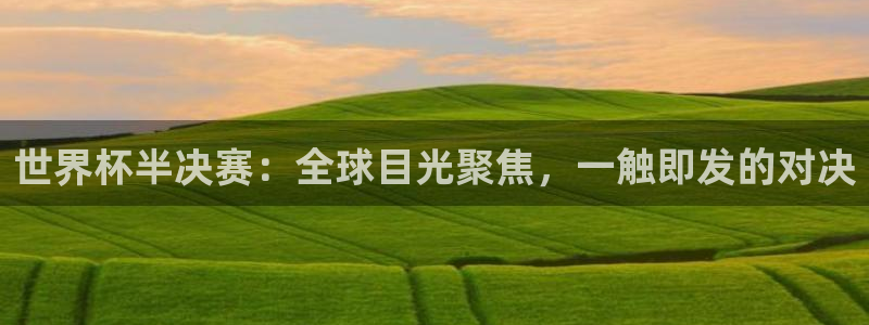 世界杯预选赛2026：世界杯半决赛：全球目光聚焦，一触即发的对决