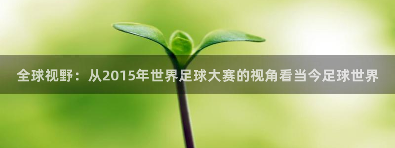 2026年世界杯直播平台：全球视野：从2015年世界足球大赛的视角看当今足球世界