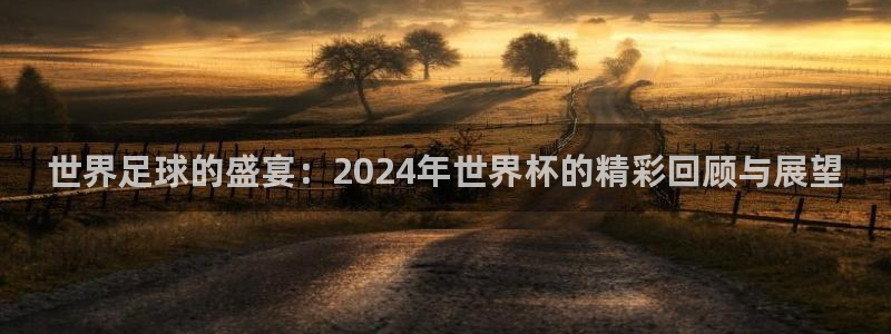 2026年世界杯：世界足球的盛宴：2024年世界杯的精彩回顾与展望