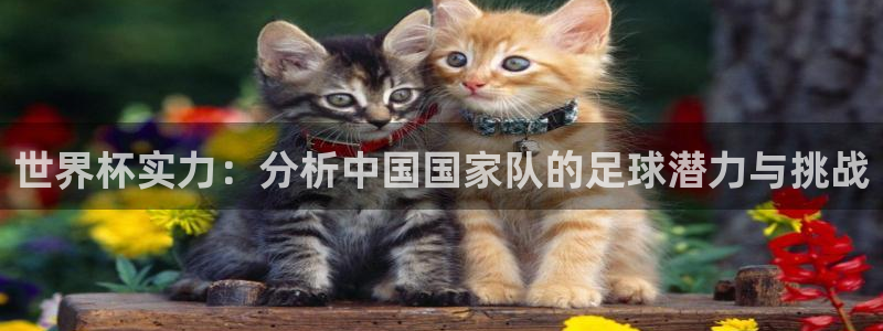 2026足球世界杯赛程时间表：世界杯实力：分析中国国家队的足球潜力与挑战